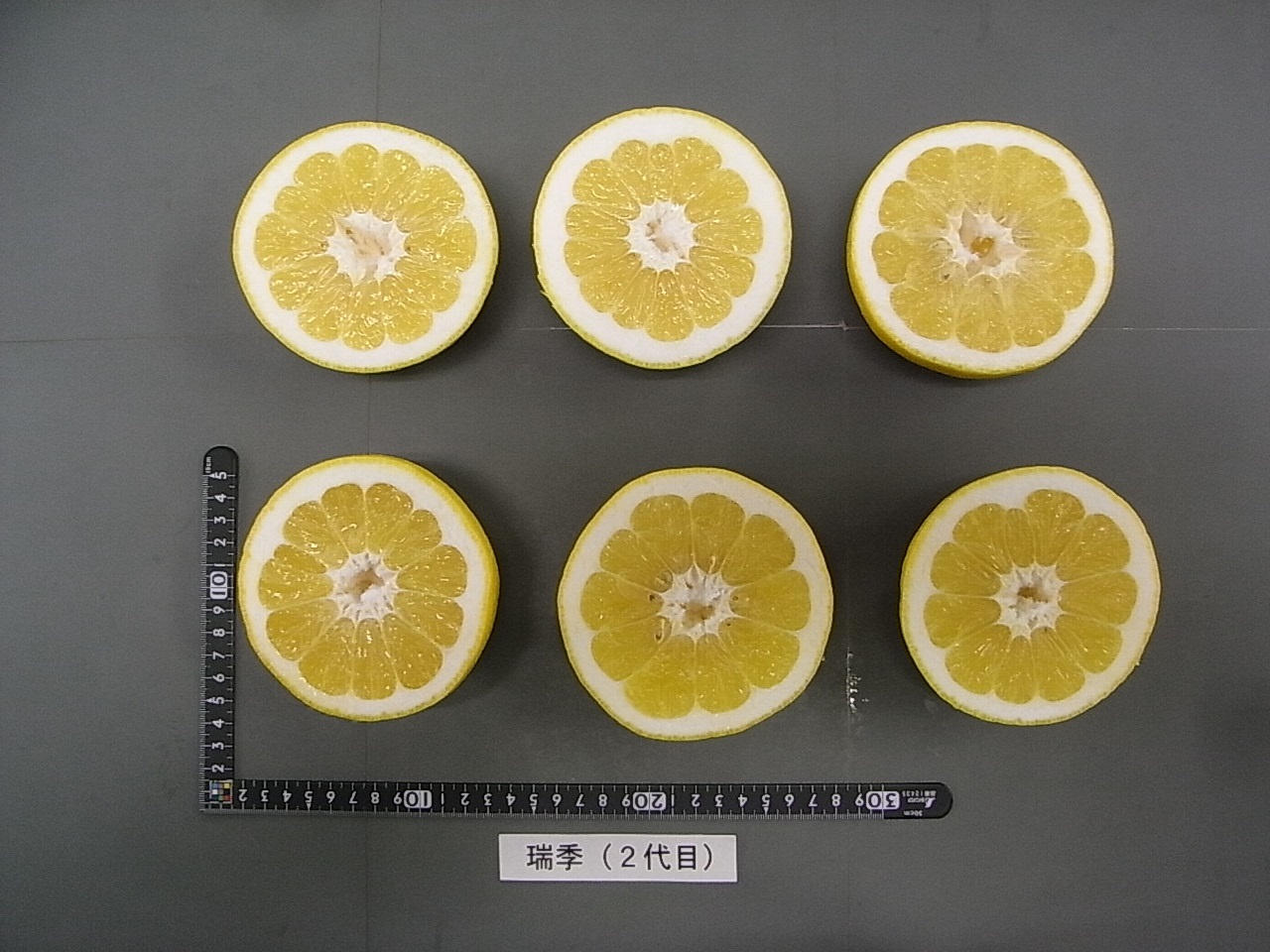 果实 (MAFF, Japan)