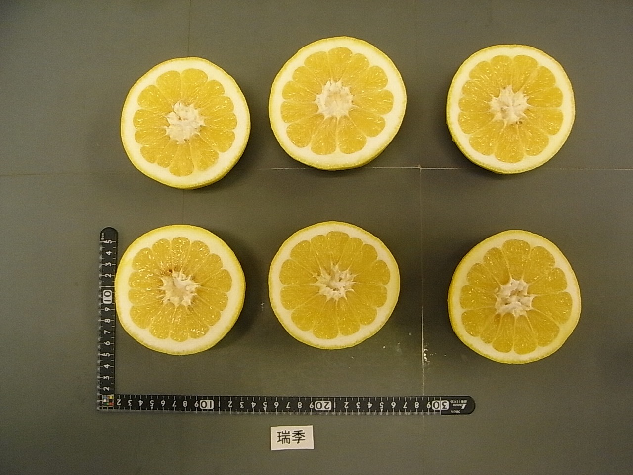 果实 (MAFF, Japan)