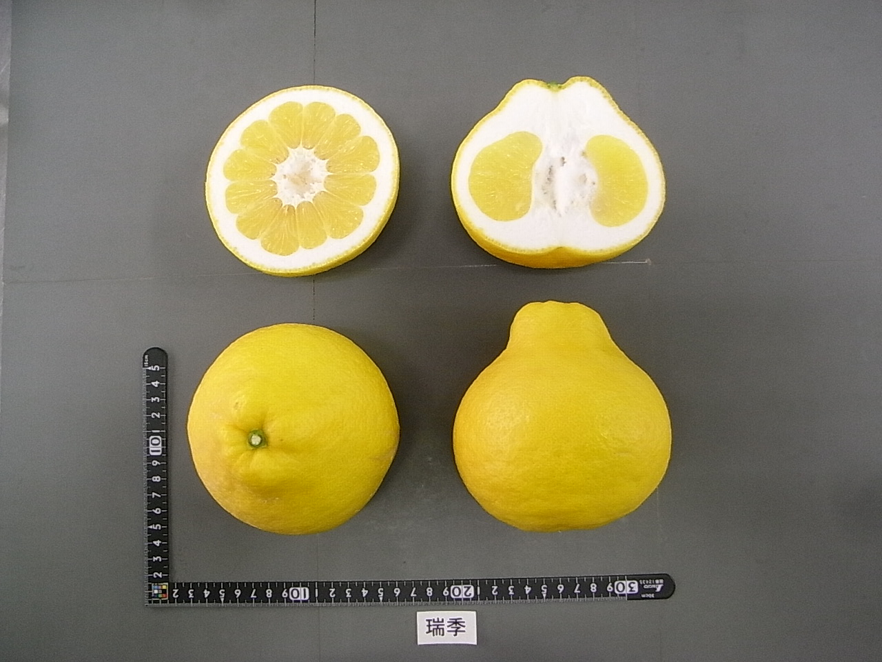 果实 (MAFF, Japan)