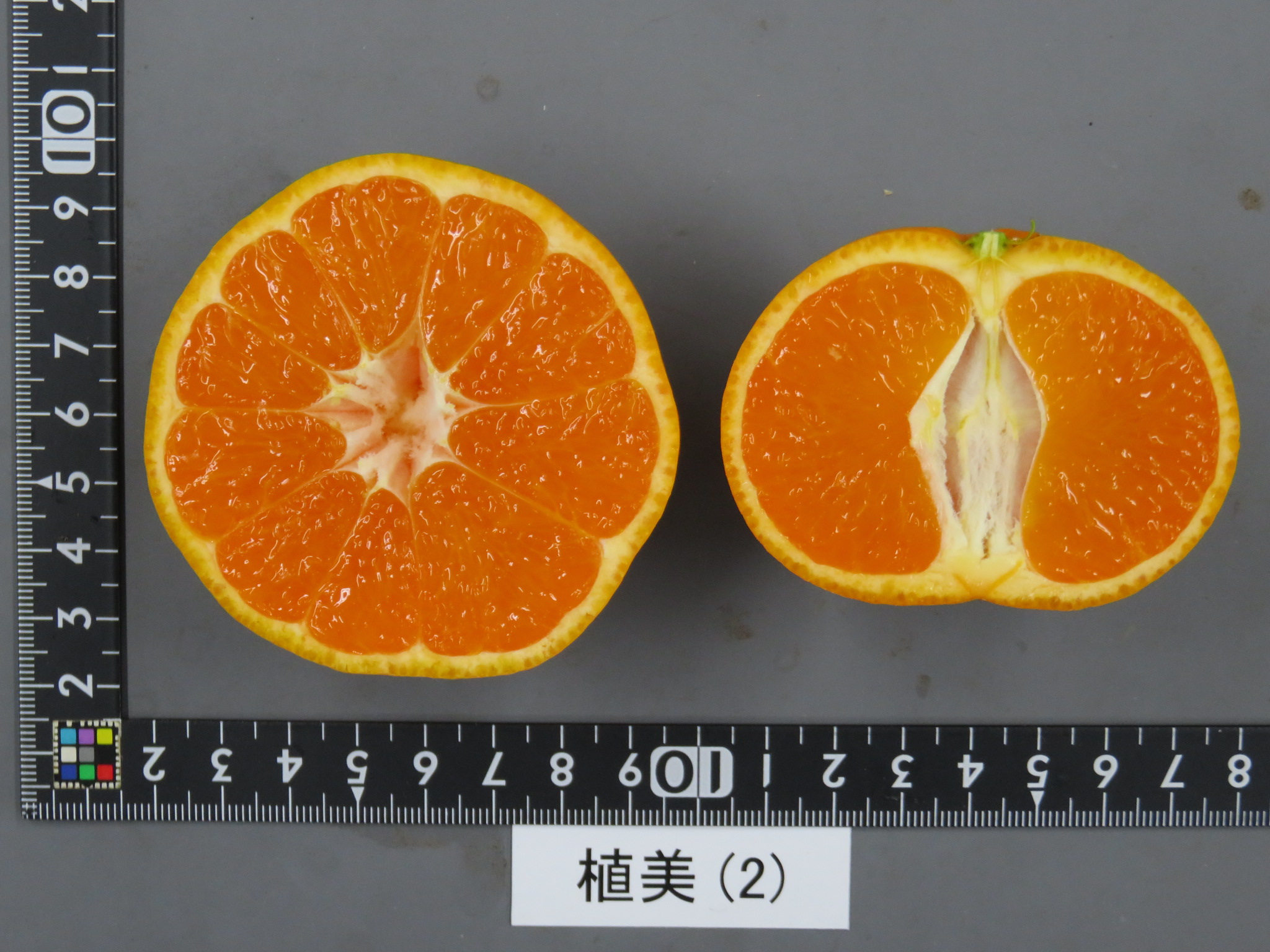 果实 (MAFF, Japan)