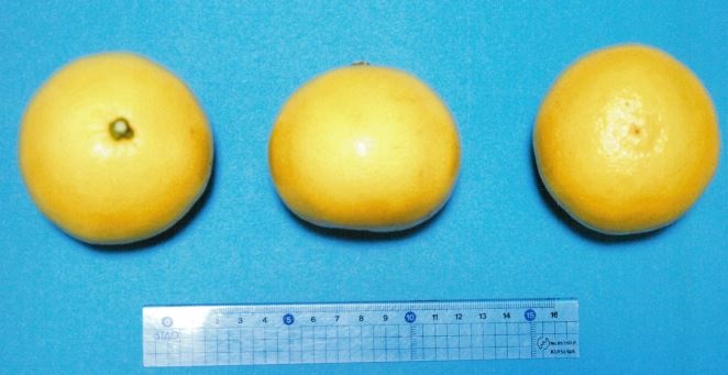 果实 (MAFF, Japan)