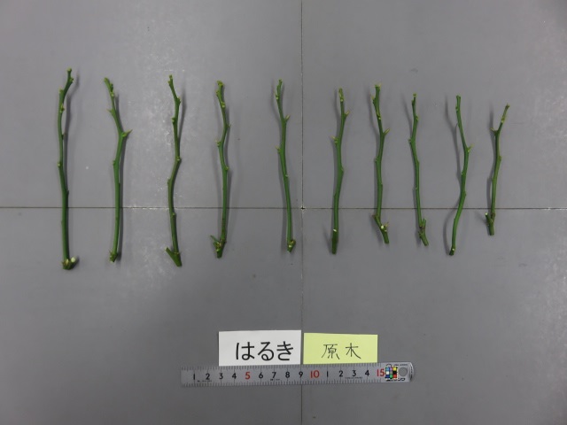 果实 (MAFF, Japan)