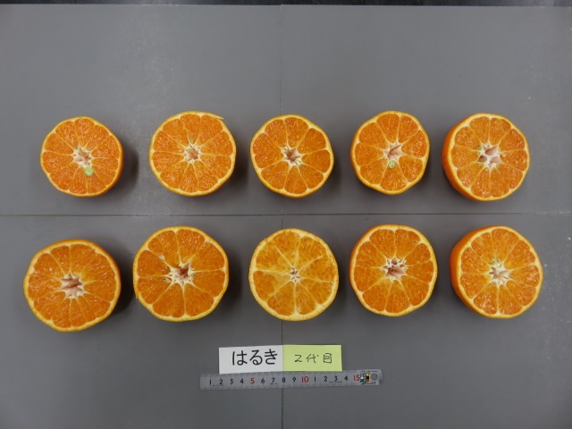 果实 (MAFF, Japan)