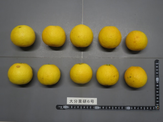 果实 (MAFF, Japan)