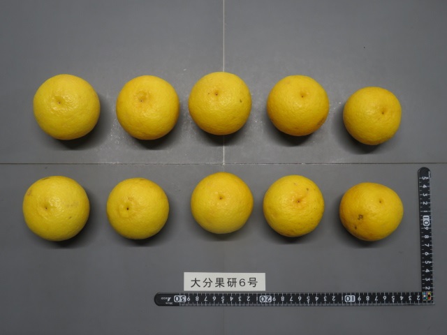 果实 (MAFF, Japan)