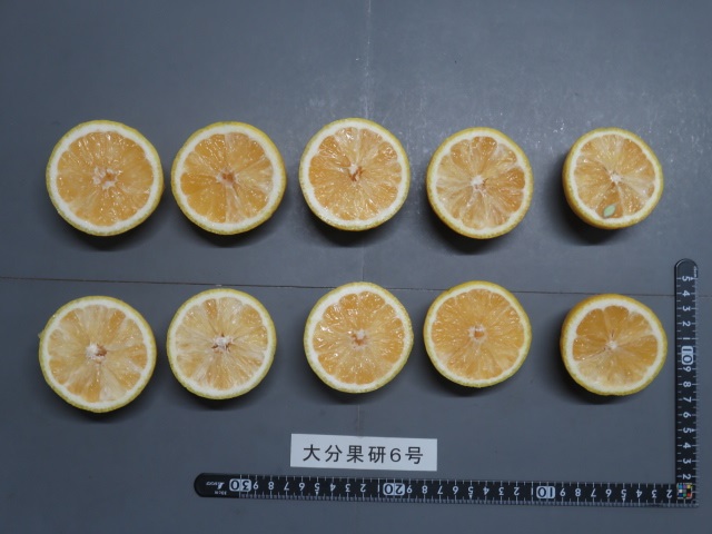 果实 (MAFF, Japan)