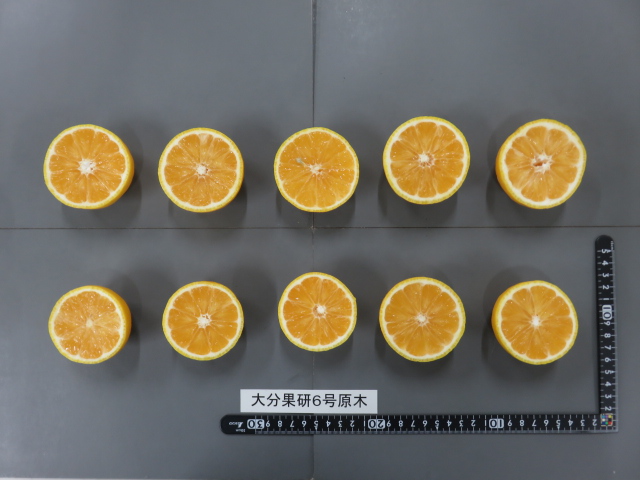 果实 (MAFF, Japan)