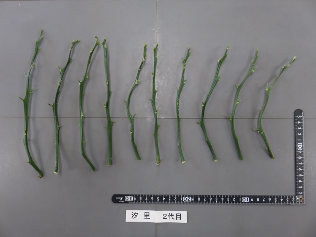 果实 (MAFF, Japan)