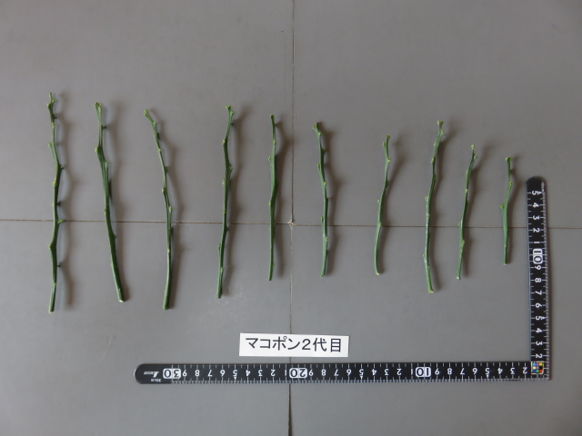 果实 (MAFF, Japan)