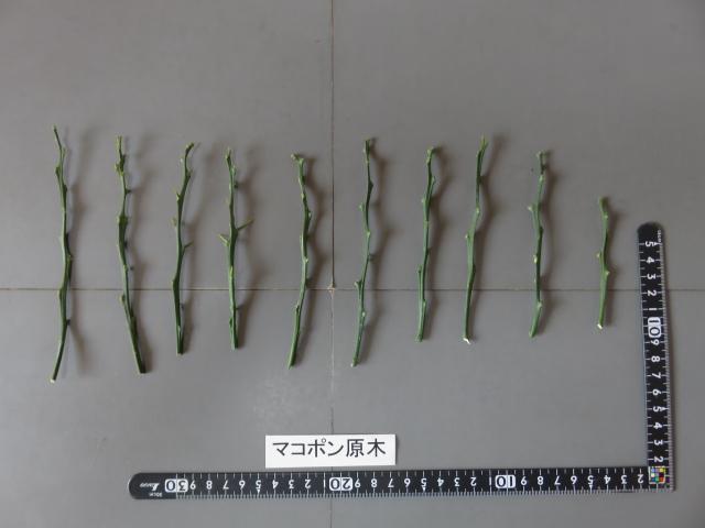 果实 (MAFF, Japan)