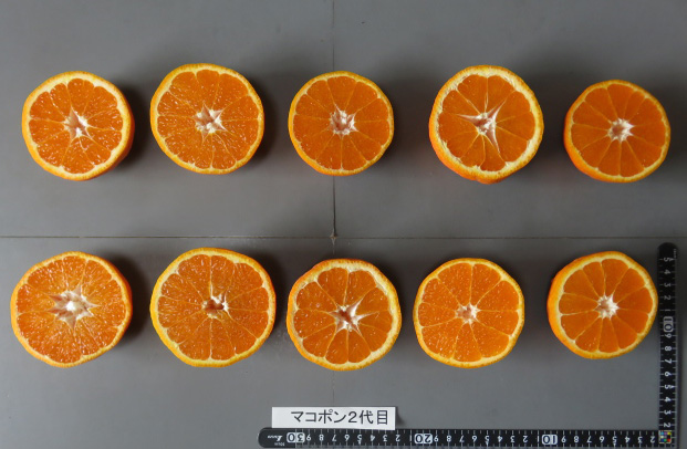 果实 (MAFF, Japan)