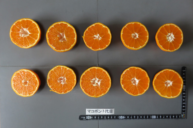 果实 (MAFF, Japan)