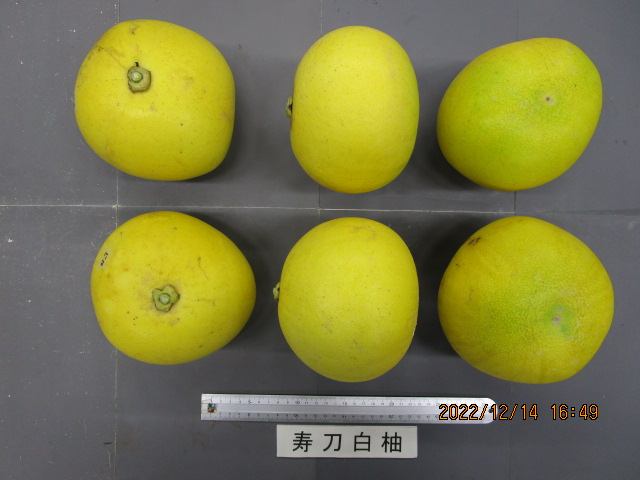 果实 (MAFF, Japan)