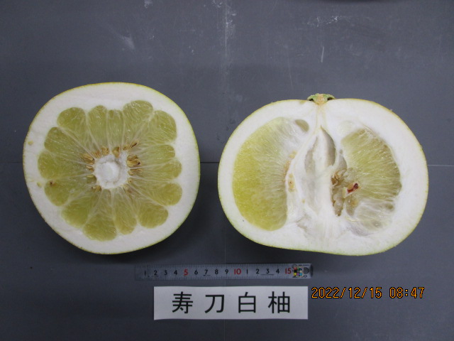 树体 (MAFF, Japan)