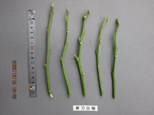 果实 (MAFF, Japan)