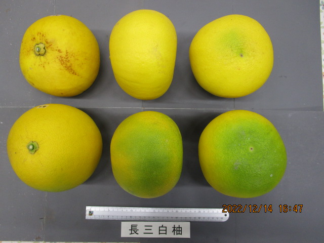 果实 (MAFF, Japan)