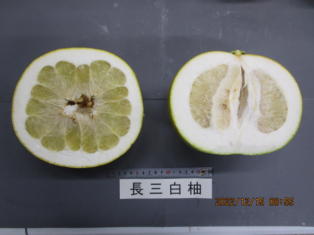 果实 (MAFF, Japan)