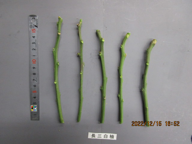 果实 (MAFF, Japan)