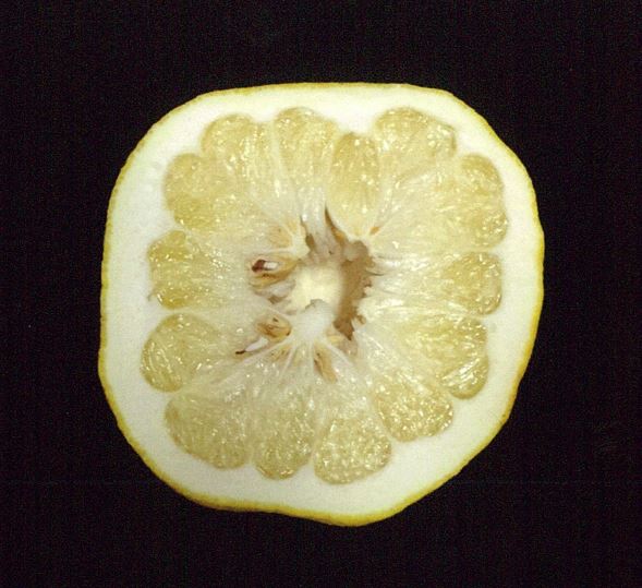 果实 (MAFF, Japan)