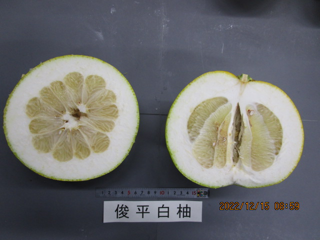 果实 (MAFF, Japan)