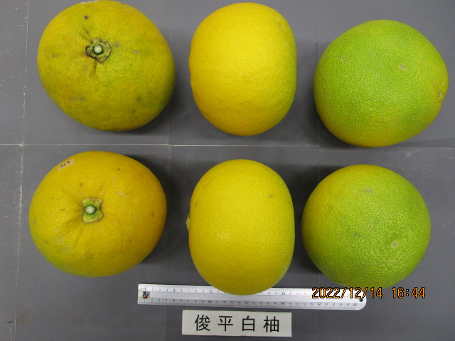 果实 (MAFF, Japan)