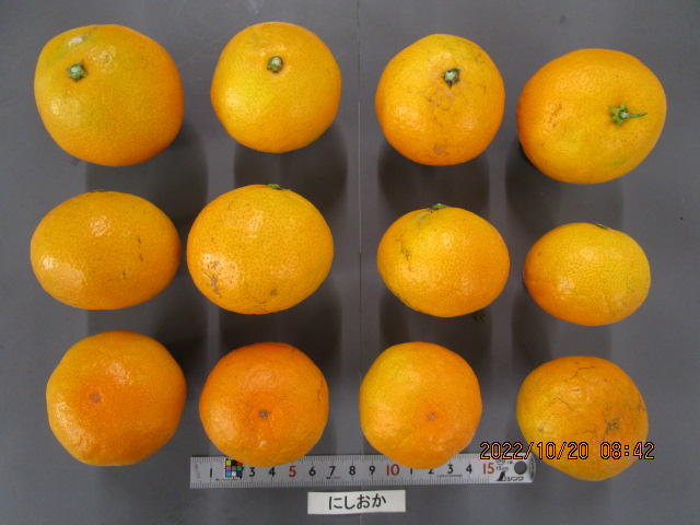 果实 (MAFF, Japan)