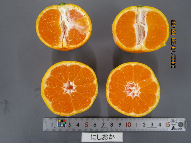 果实 (MAFF, Japan)