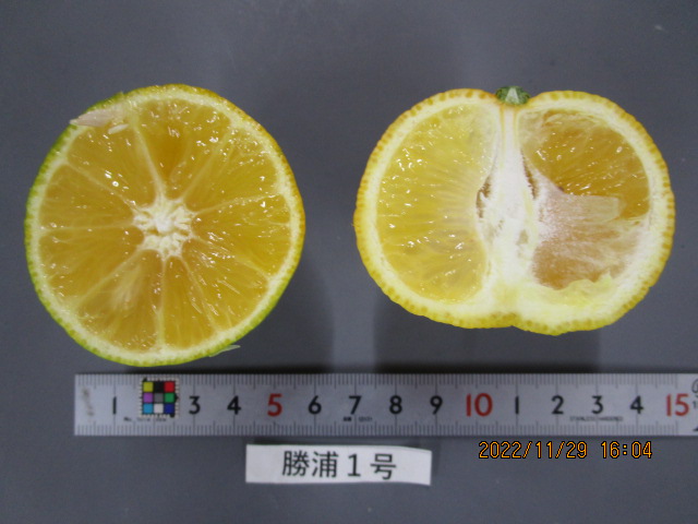 果实 (MAFF, Japan)