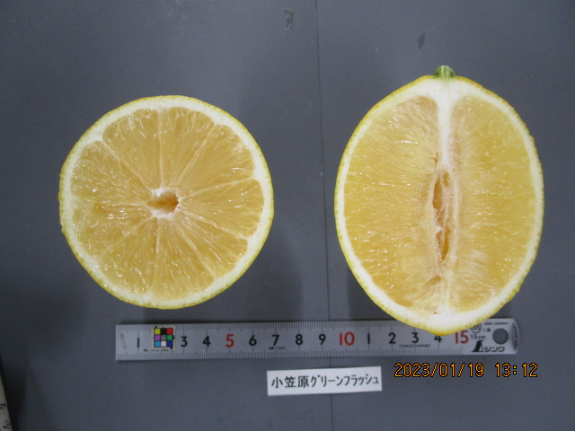 果实 (MAFF, Japan)