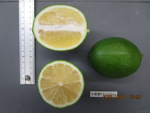 果实 (MAFF, Japan)