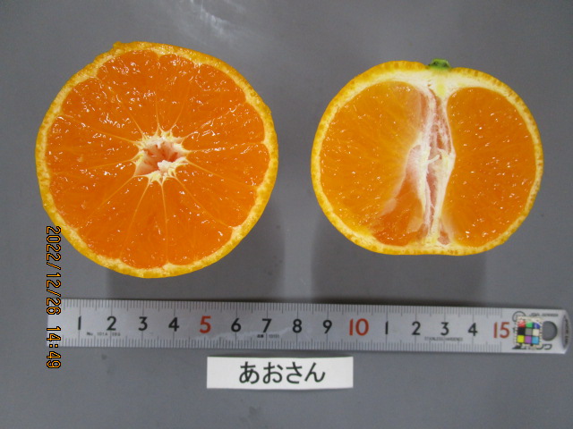 果实 (MAFF, Japan)