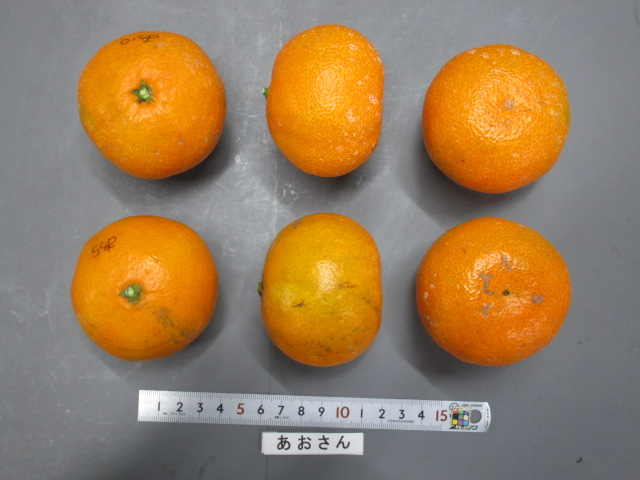 果实 (MAFF, Japan)