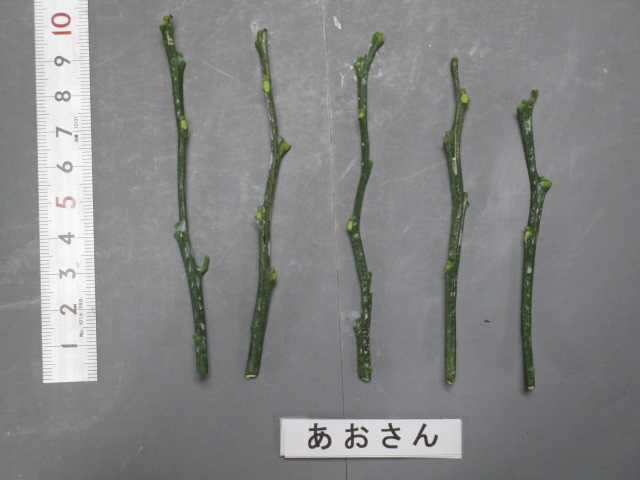 果实 (MAFF, Japan)