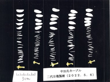 果实 (MAFF, Japan)