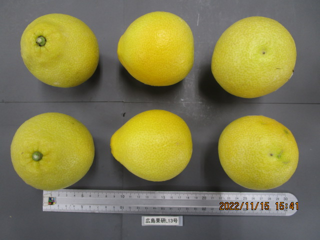 果实 (MAFF, Japan)